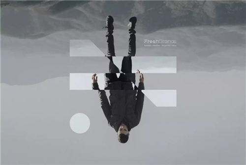 Fresh Brans“時尚”公司vi系統設計手冊