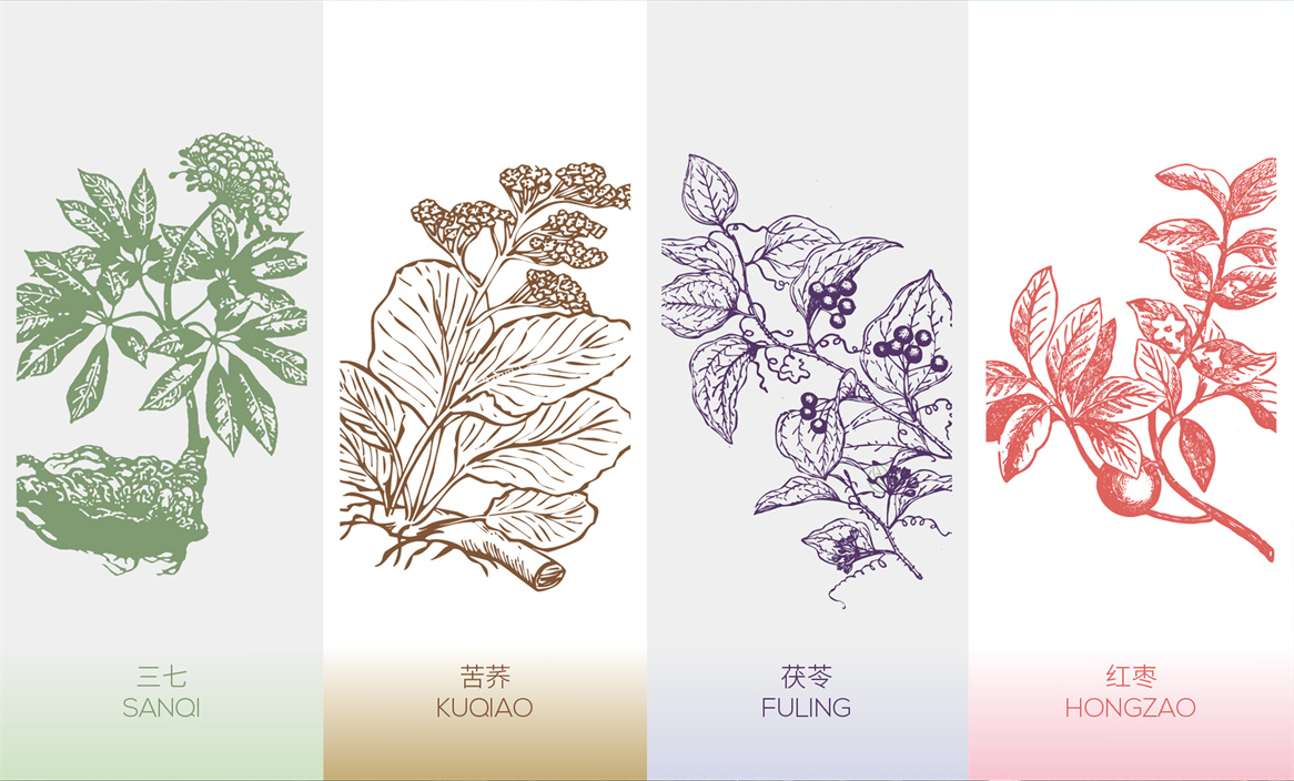 紙盒裝中藥包裝設(shè)計(jì)